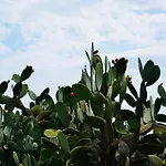 La Di Minerva Villa *