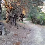 La Di Minerva Agrigento