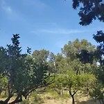 La Di Minerva Villa