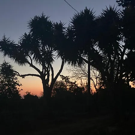 La Di Minerva * אגריג'נטו