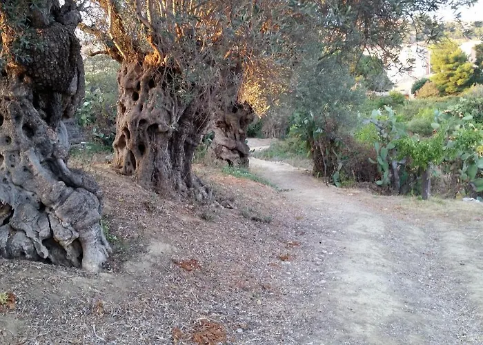 La Di Minerva אגריג'נטו