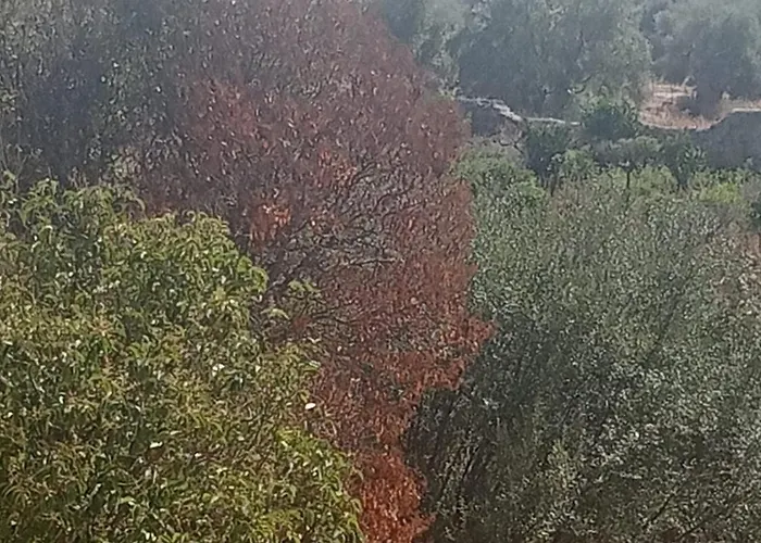 וילה La Di Minerva *