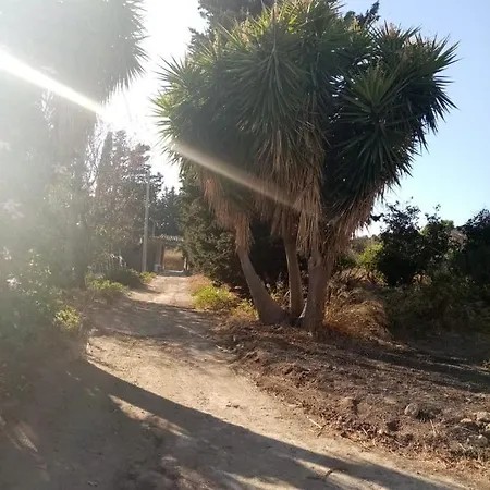 La Di Minerva Agrigent