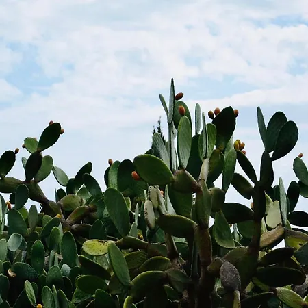 La Di Minerva Villa *