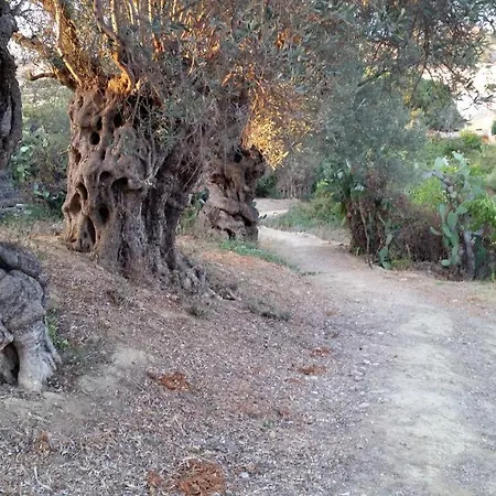 La Di Minerva Agrigent