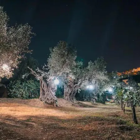 La Di Minerva Villa