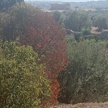 Villa La Di Minerva *